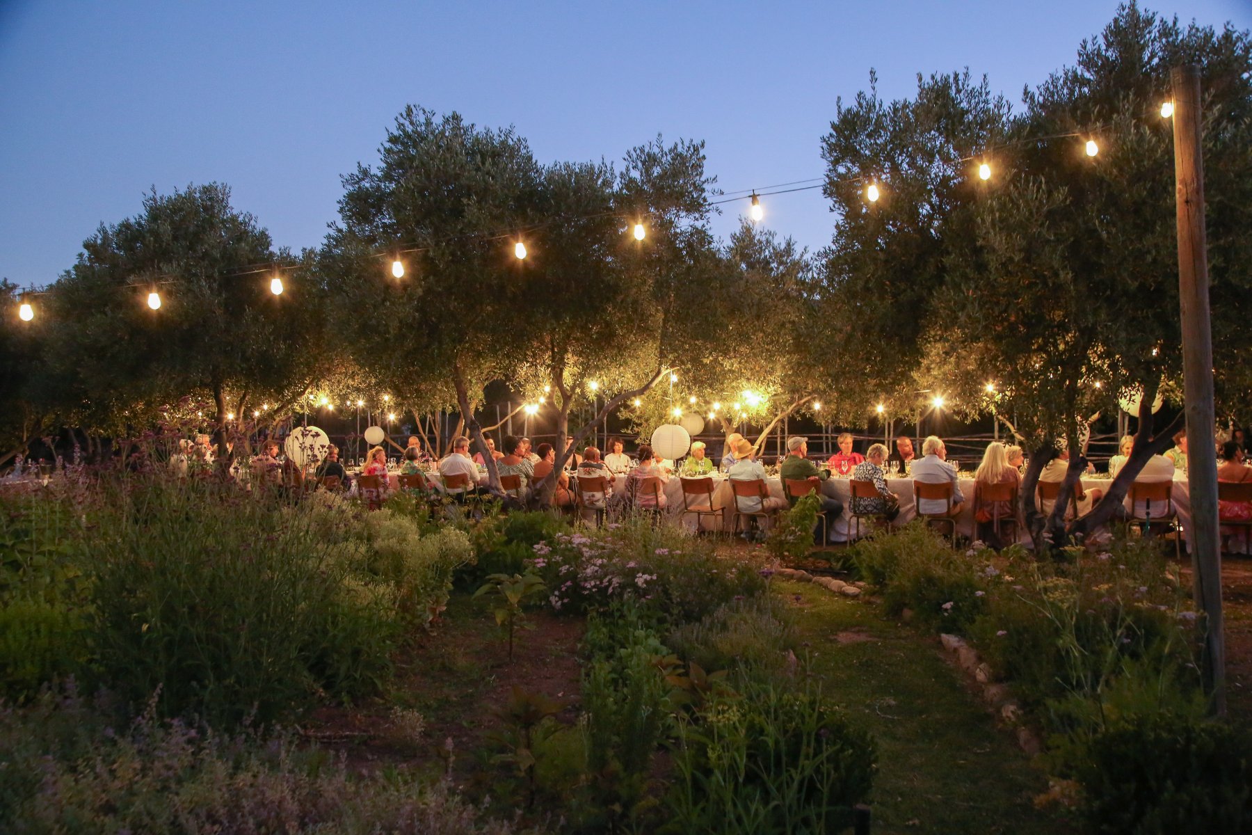 A long-table dinner under strung lights in the ONS garden at dusk